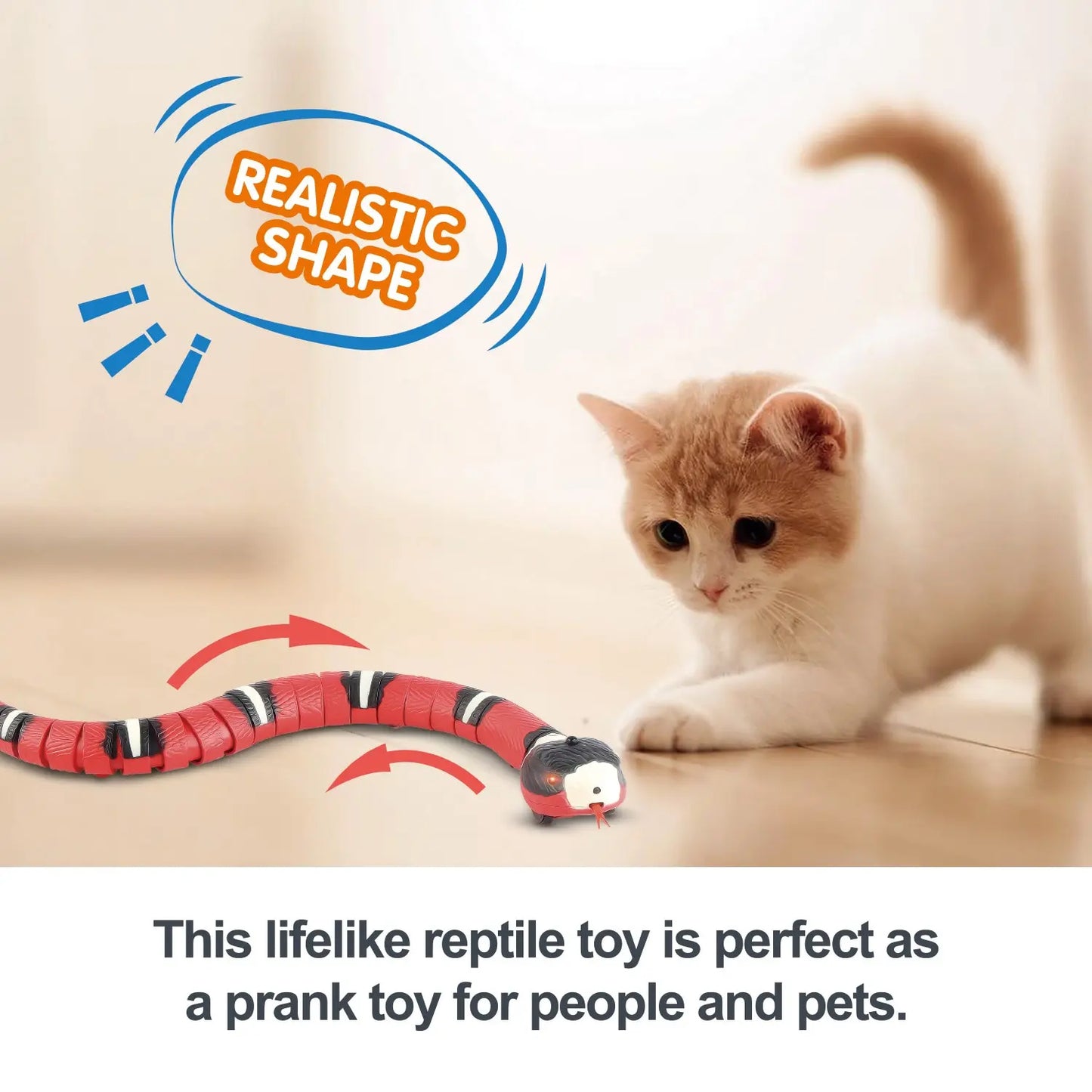 Smart Cat Toys