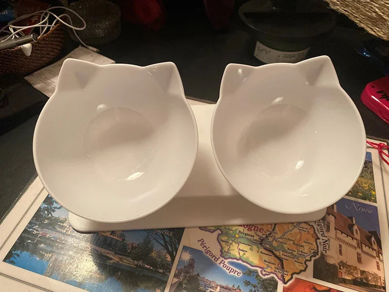 Double Pet Bowl