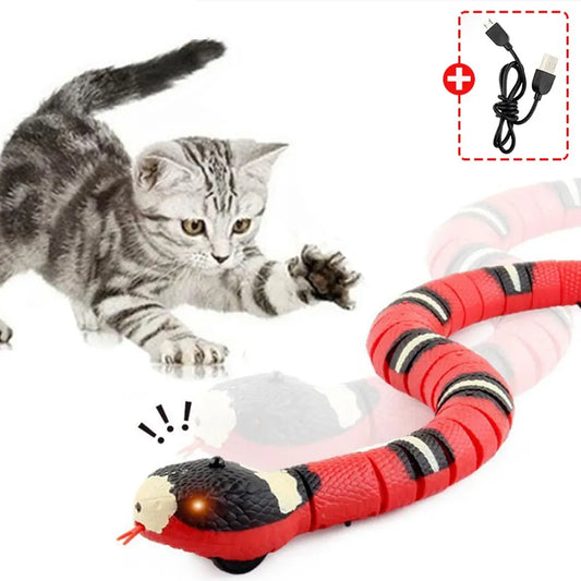 Smart Cat Toys