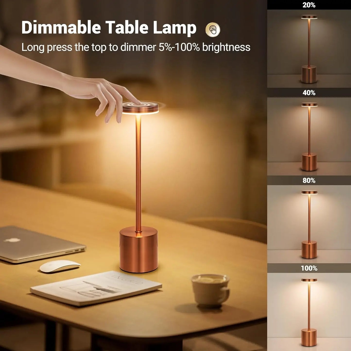 LED Table Lamp