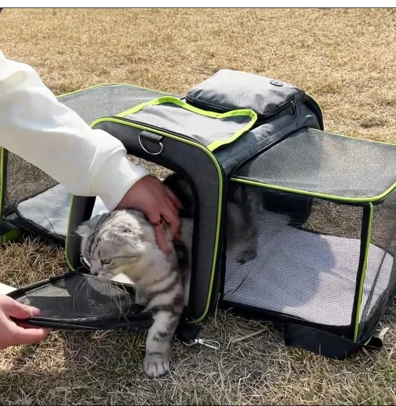 Cat Travel Bag