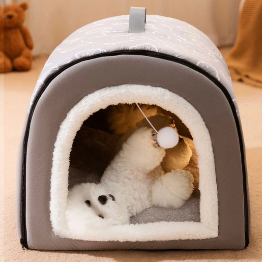 Dog House