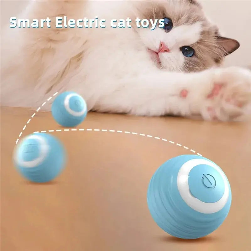 Ball Toys for Cat