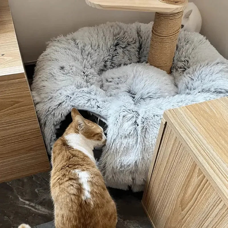 Cat Bed