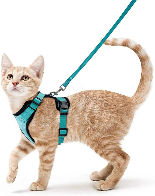 Cat Harness