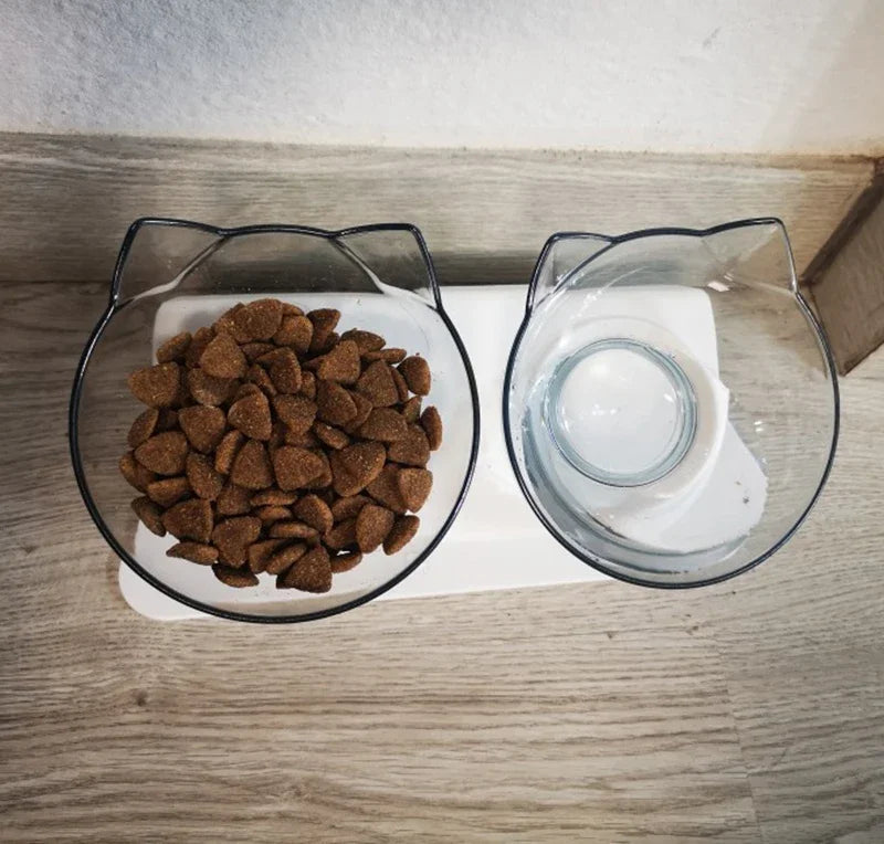 Double Pet Bowl