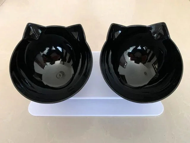 Double Pet Bowl