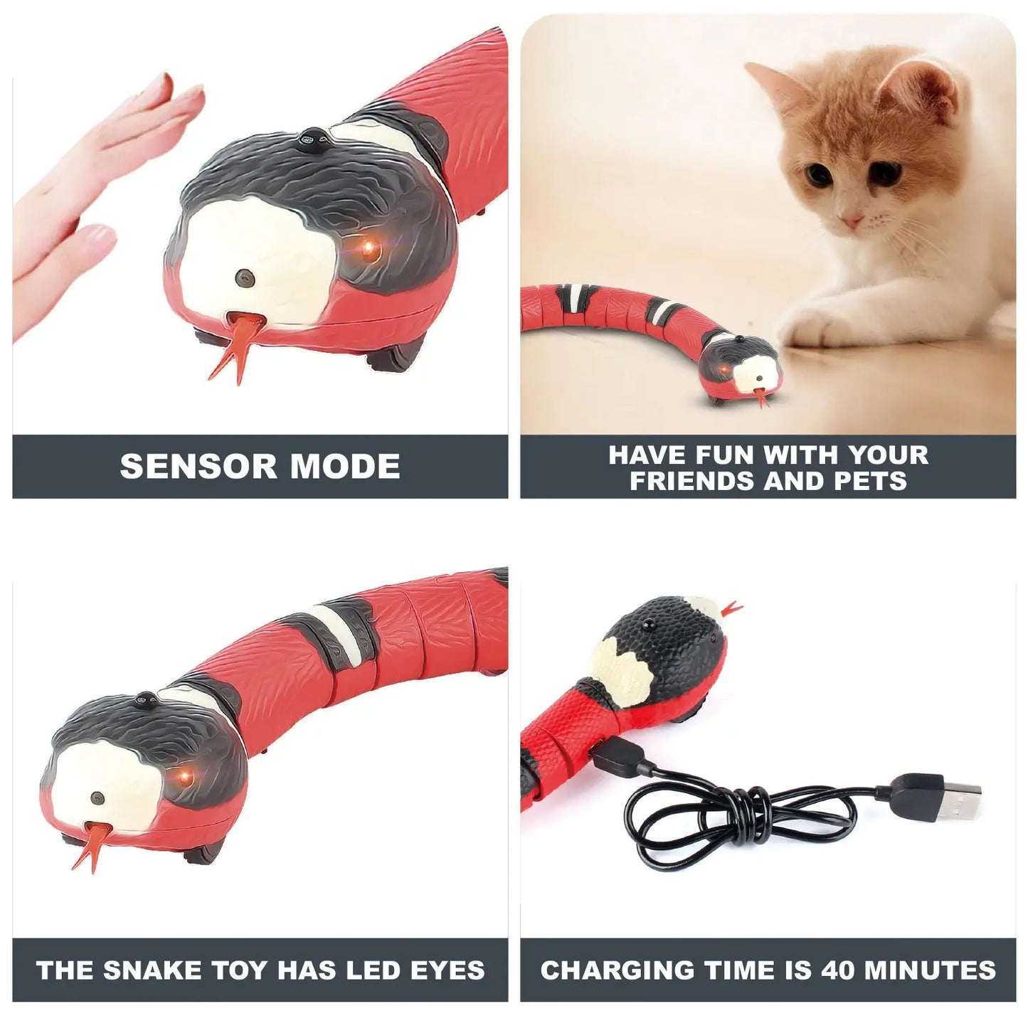 Smart Cat Toys