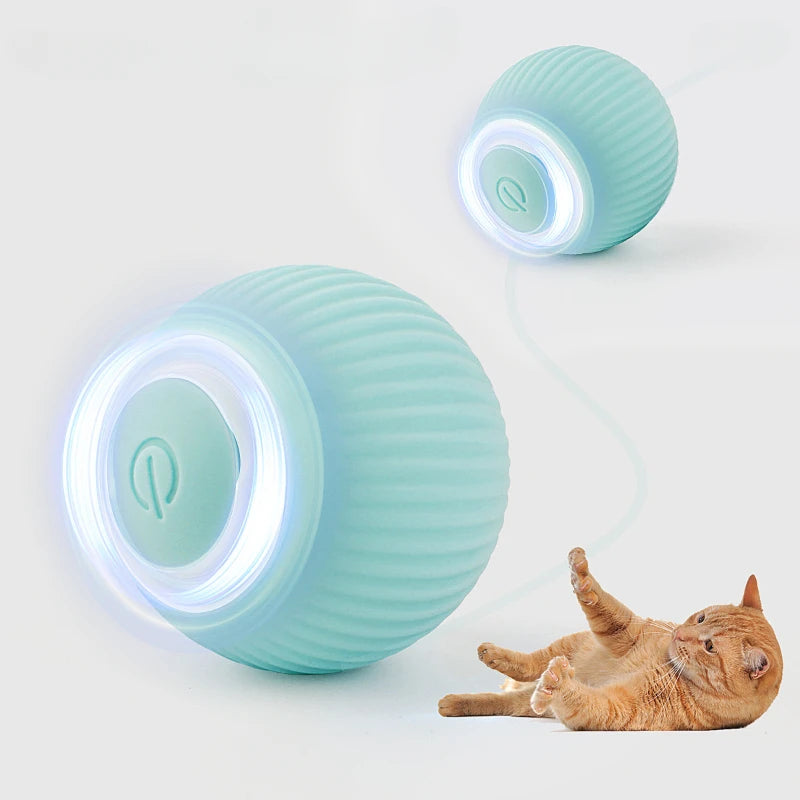 Ball Toys for Cat