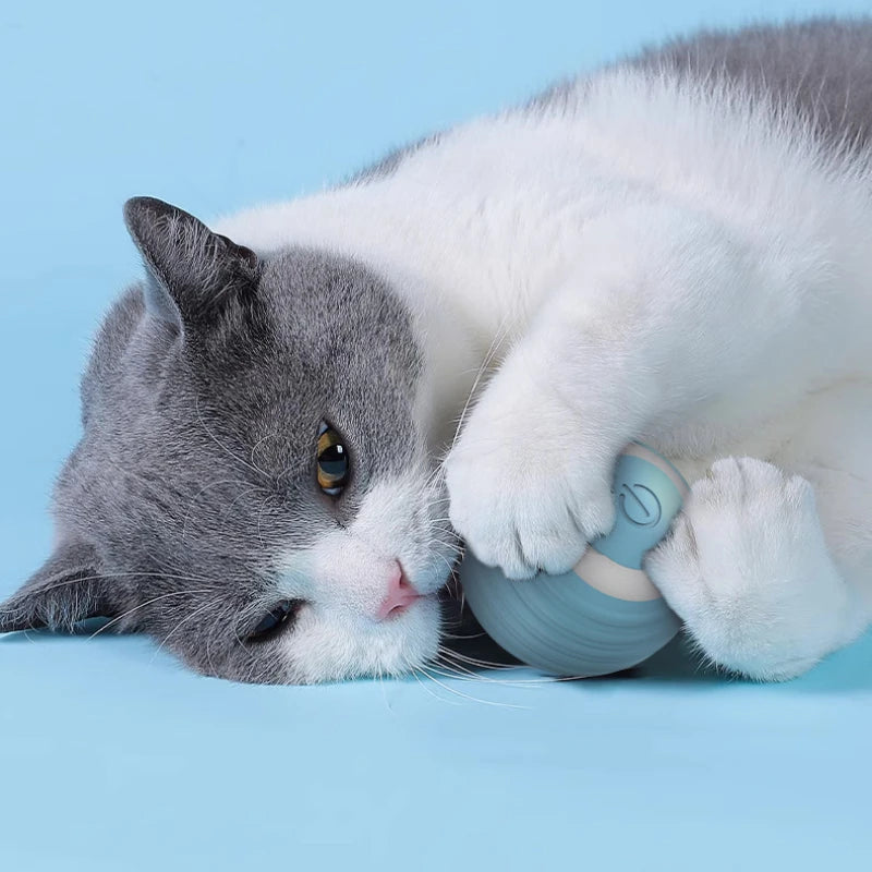 Ball Toys for Cat