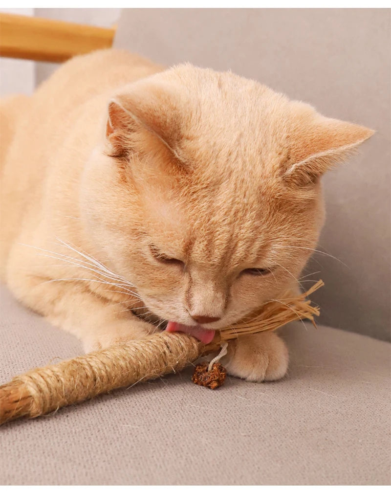 1 Pc Cat Toys