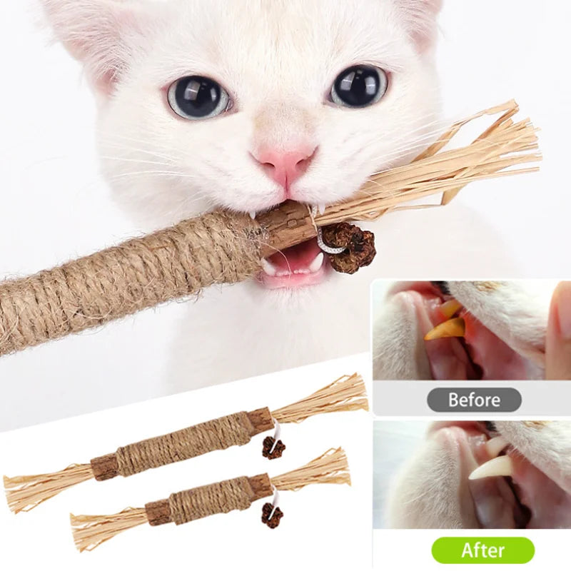 1 Pc Cat Toys