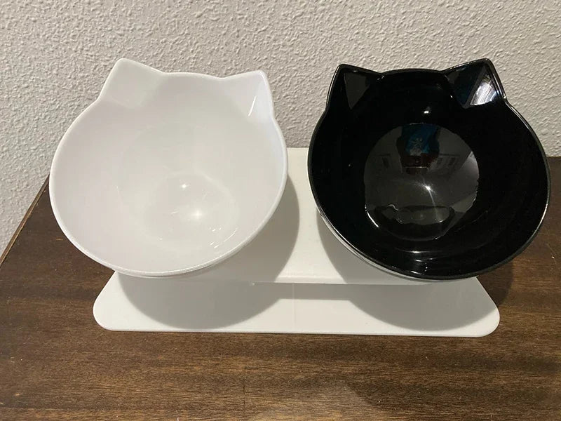 Double Pet Bowl