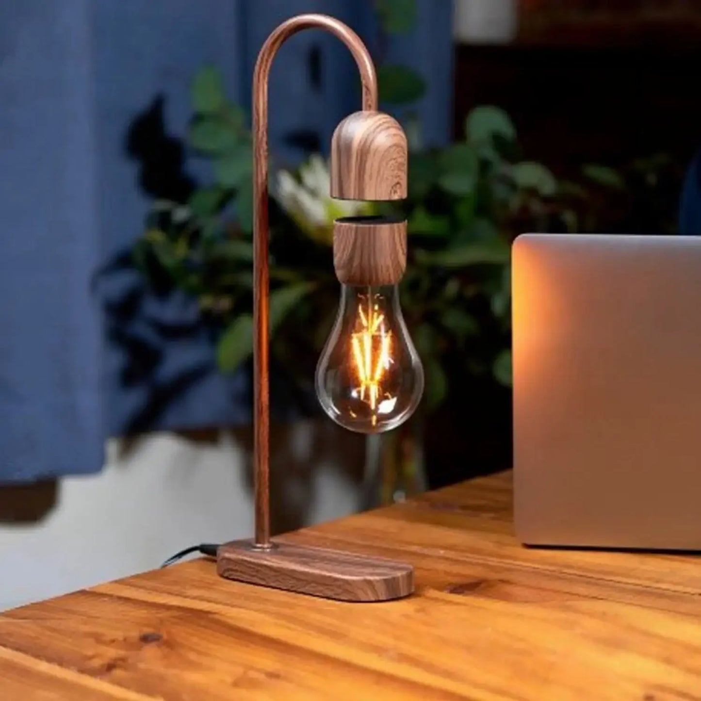 Magnetic light bulb