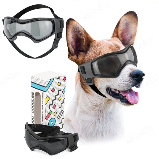 Pet Accessories