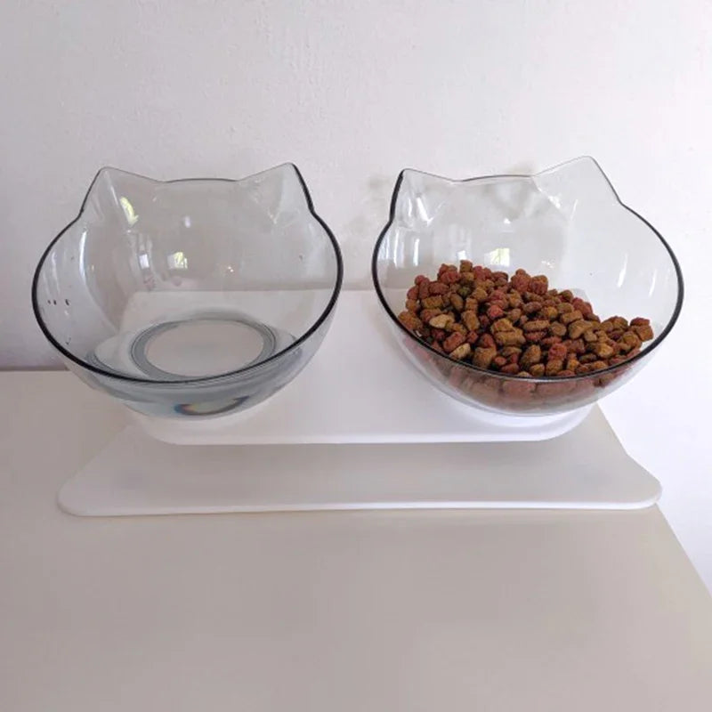 Double Pet Bowl