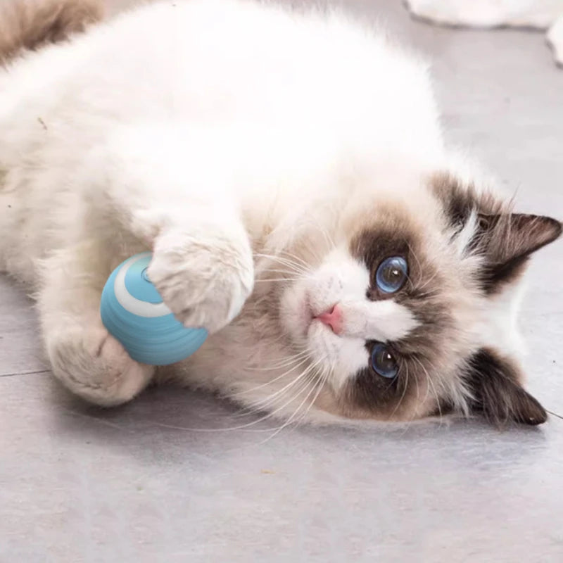 Ball Toys for Cat