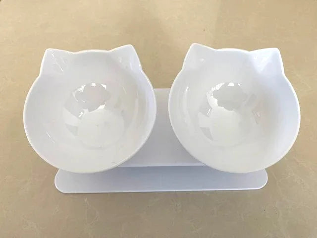 Double Pet Bowl